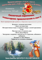Новогодние программы