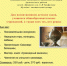 «Самовар да валенки – русские  забавинки» фольклорная программа - Администрация Арзамасского района