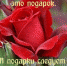 Дни недели в православии. - Женский монастырь Дивеево