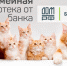 Семейная ипотека - Администрация Арзамасского района