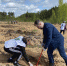 Более 300 тысяч деревьев высадили в Нижегородской области в рамках международной акции «Сад памяти» - Арзамасская Правда