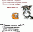 Умный кот рекомендует… - Управление соцзащиты населения