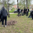 Студенты АПИ НГТУ приняли участие в субботнике - Arzamas-City.Ru