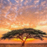 Предел молитвы есть неподвижное пребывание ума в Боге - Женский монастырь Дивеево