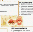 Дифтерия: причины, симптомы, профилактика - Город Арзамас